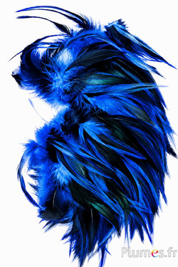 Hahnenkreuz Badger - 10-15 cm - blau